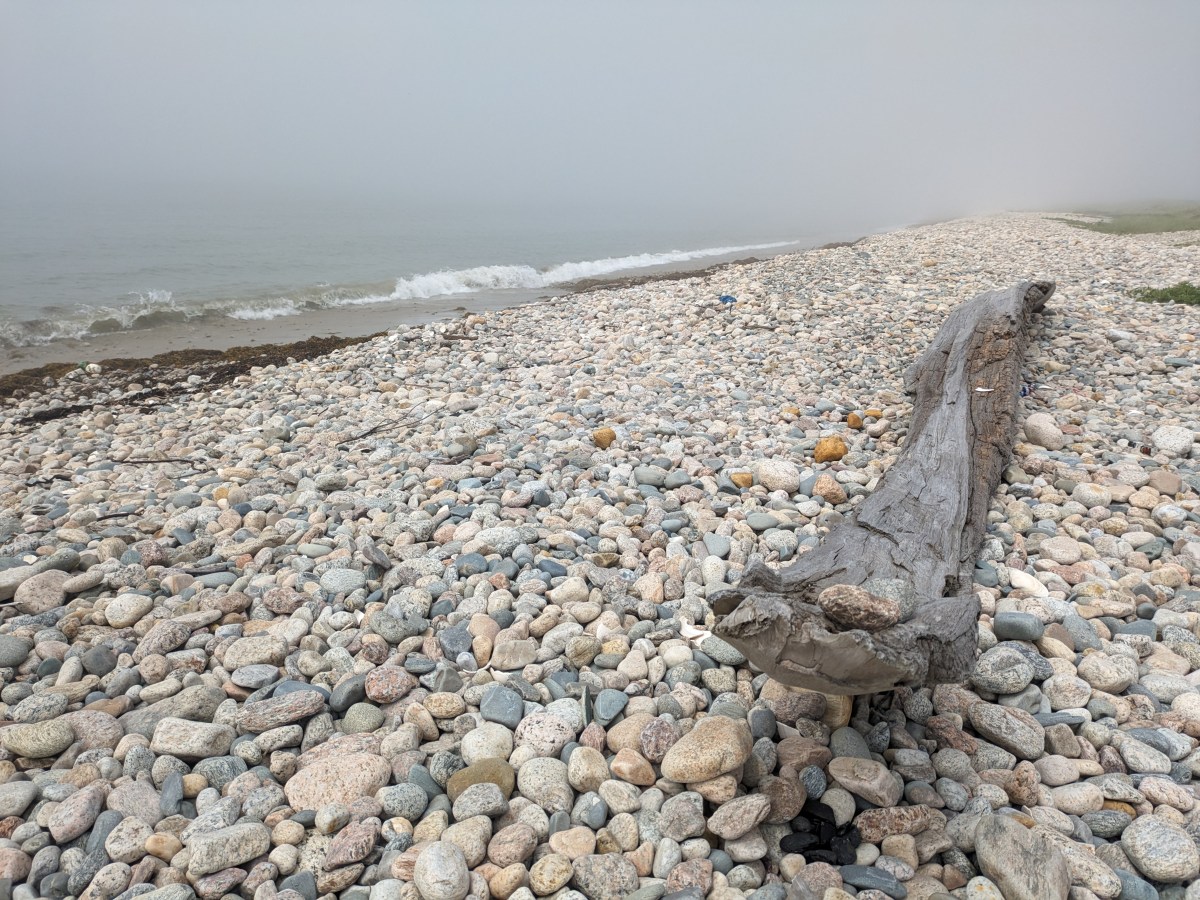 My Favorite Ways to Enjoy Westport,&nbsp;MA