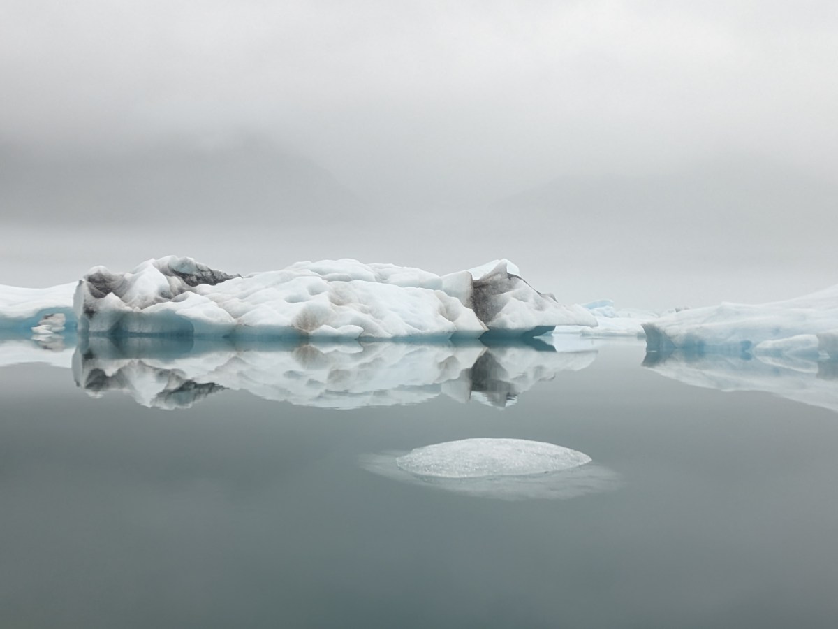 A Day on the Water in Kenai Fjords National Park,&nbsp;AK