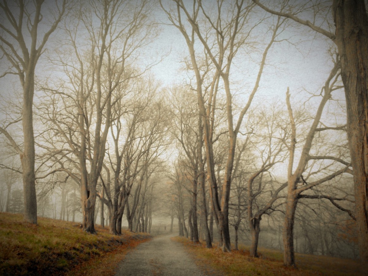 Spending the day at World’s End,&nbsp;MA