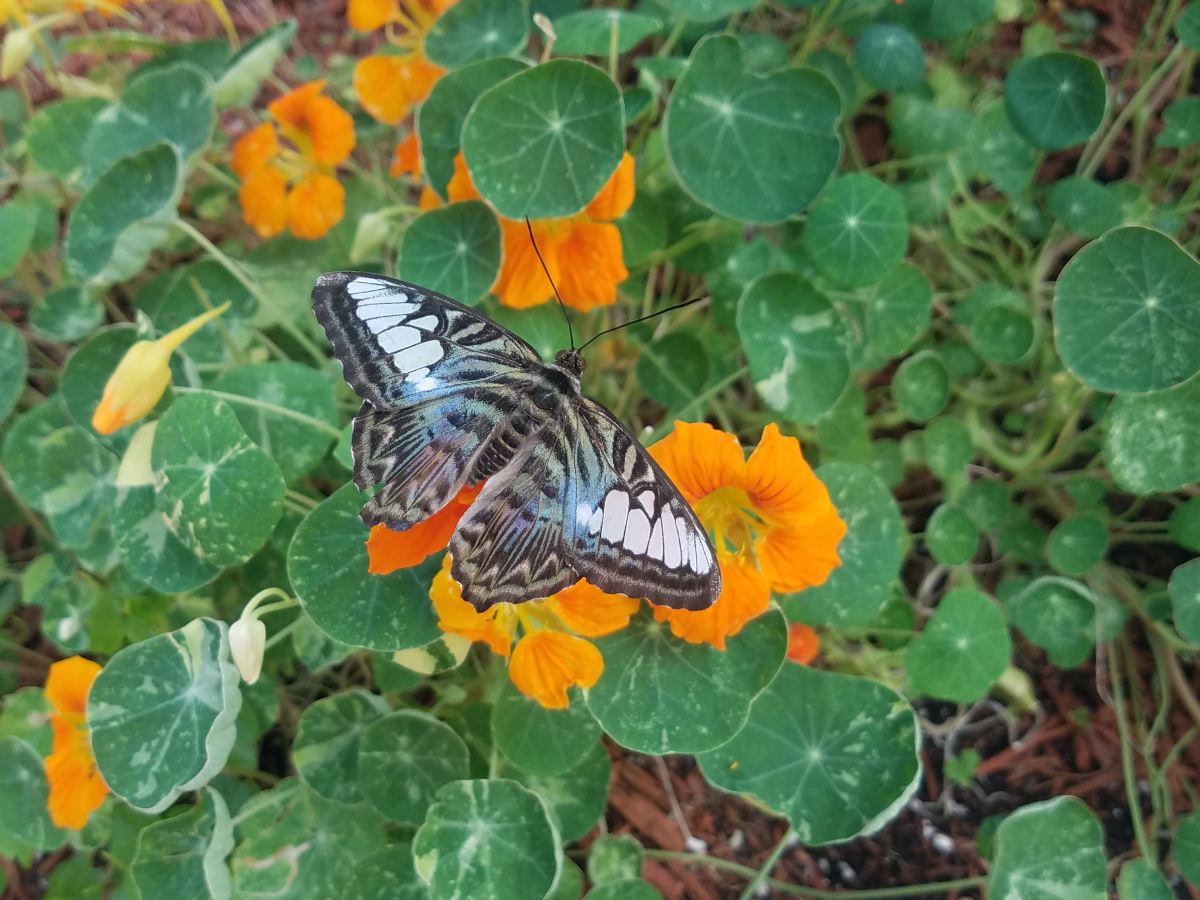 Exploring Mackinac, MI