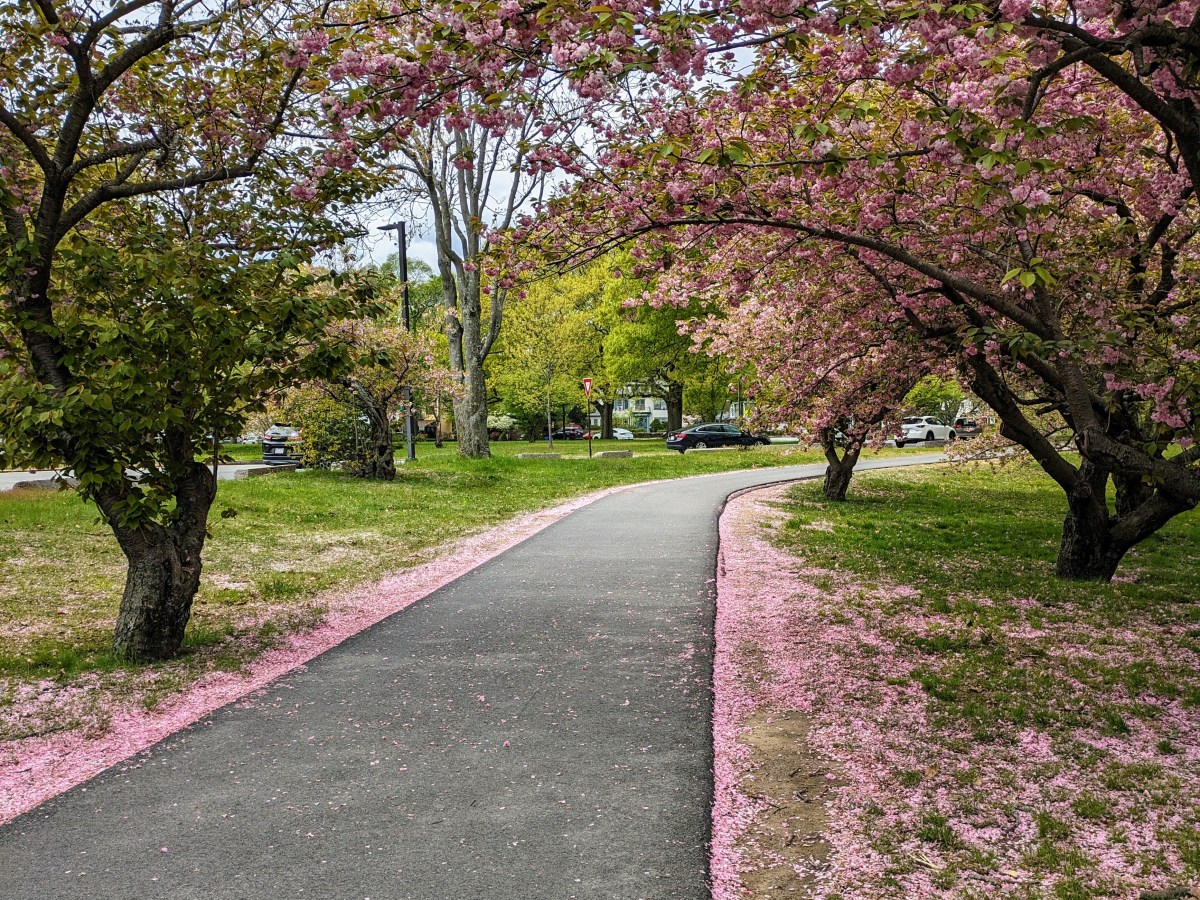 Emerald Necklace: Jamaica Plain & Roslindale,&nbsp;MA