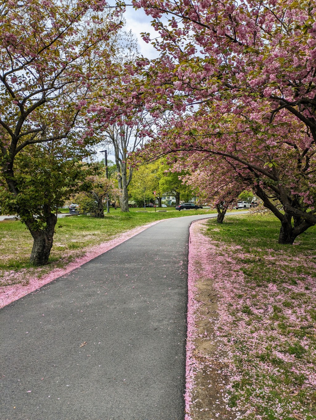 Emerald Necklace: Jamaica Plain & Roslindale,&nbsp;MA
