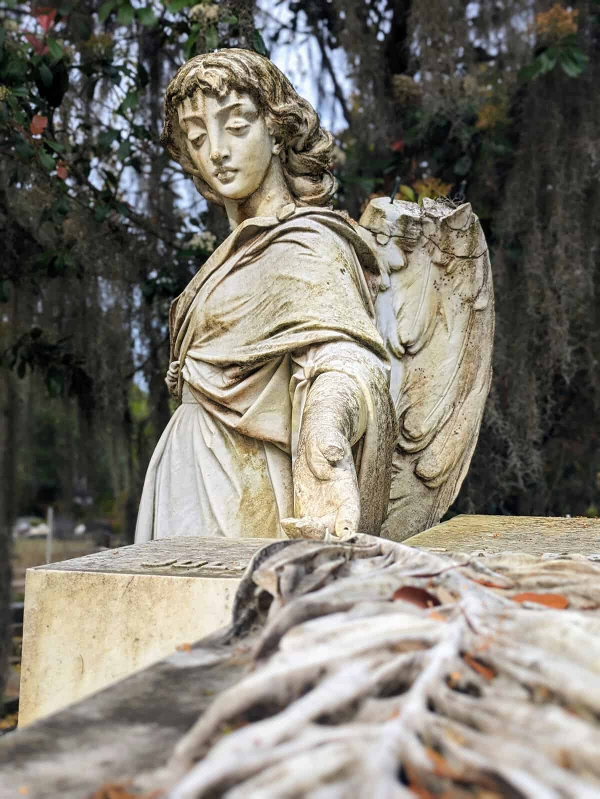Just Outside Savannah, GA