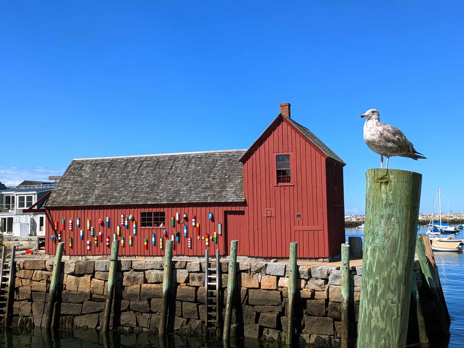 Exploring Cape Ann, MA