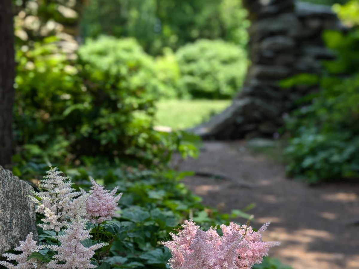 Exploring Kingston, RI