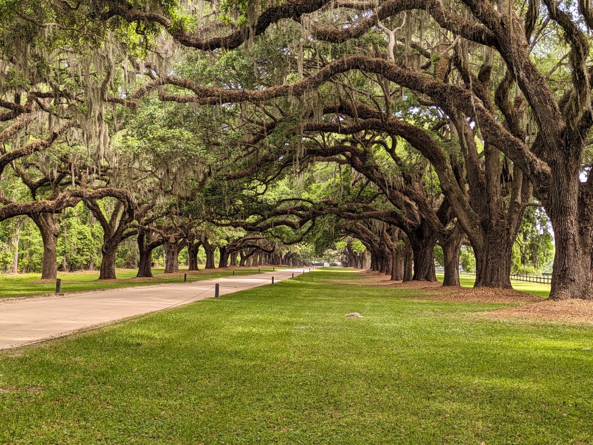 A final day in Mount Pleasant,&nbsp;SC