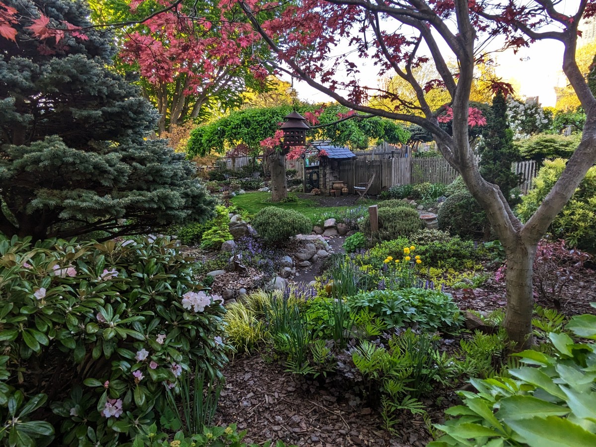 Exploring the Fens, Boston,&nbsp;MA