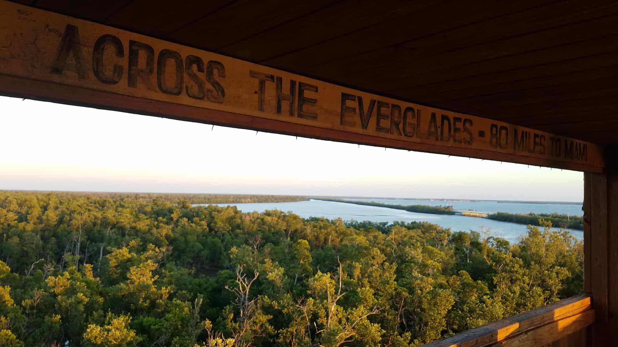 Exploring Everglades National Park, FL