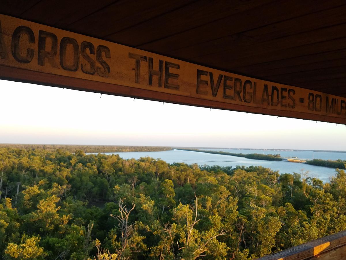 Exploring Everglades National Park,&nbsp;FL