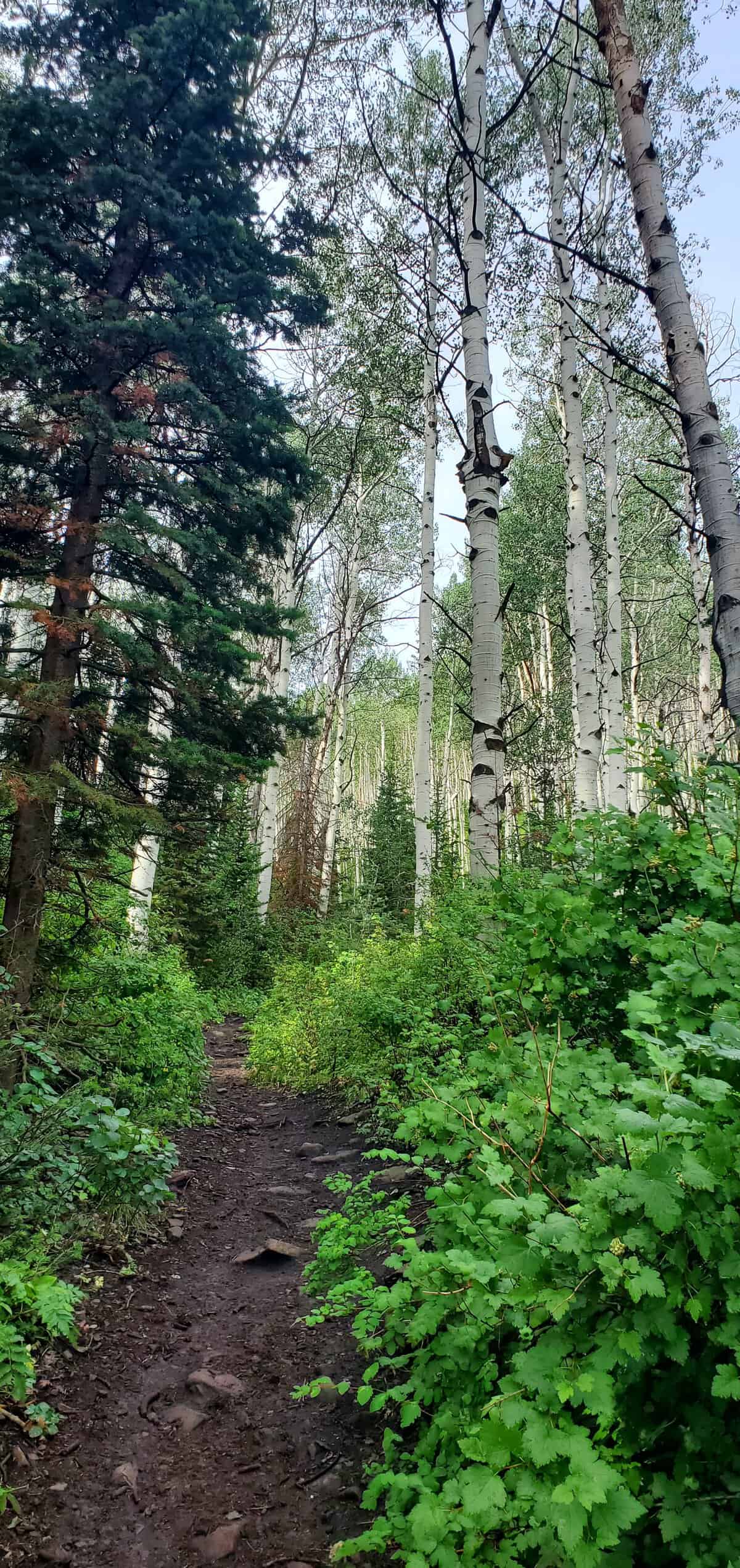 A Day in Park City, UT