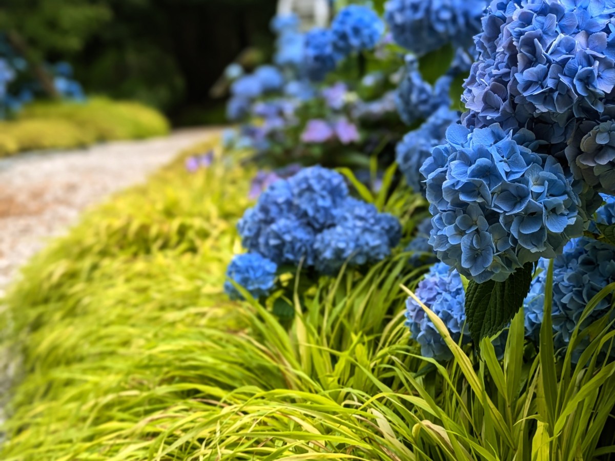 Exploring Sandwich, MA