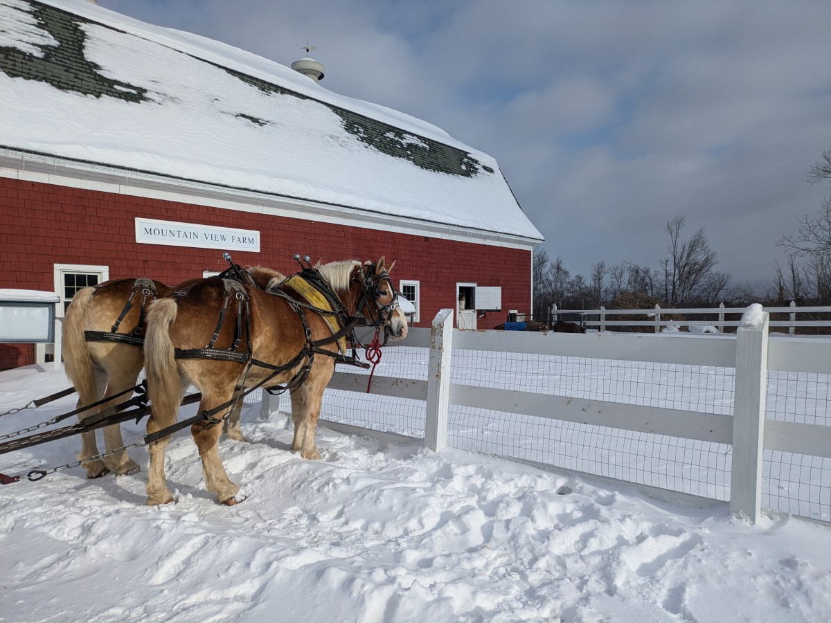 Small Town Living in the Great North Woods,&nbsp;NH