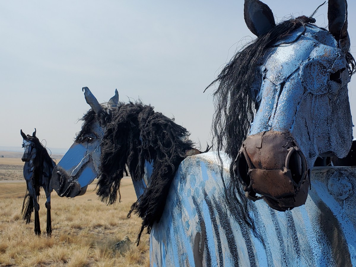 Driving From Yellowstone to&nbsp;Missoula