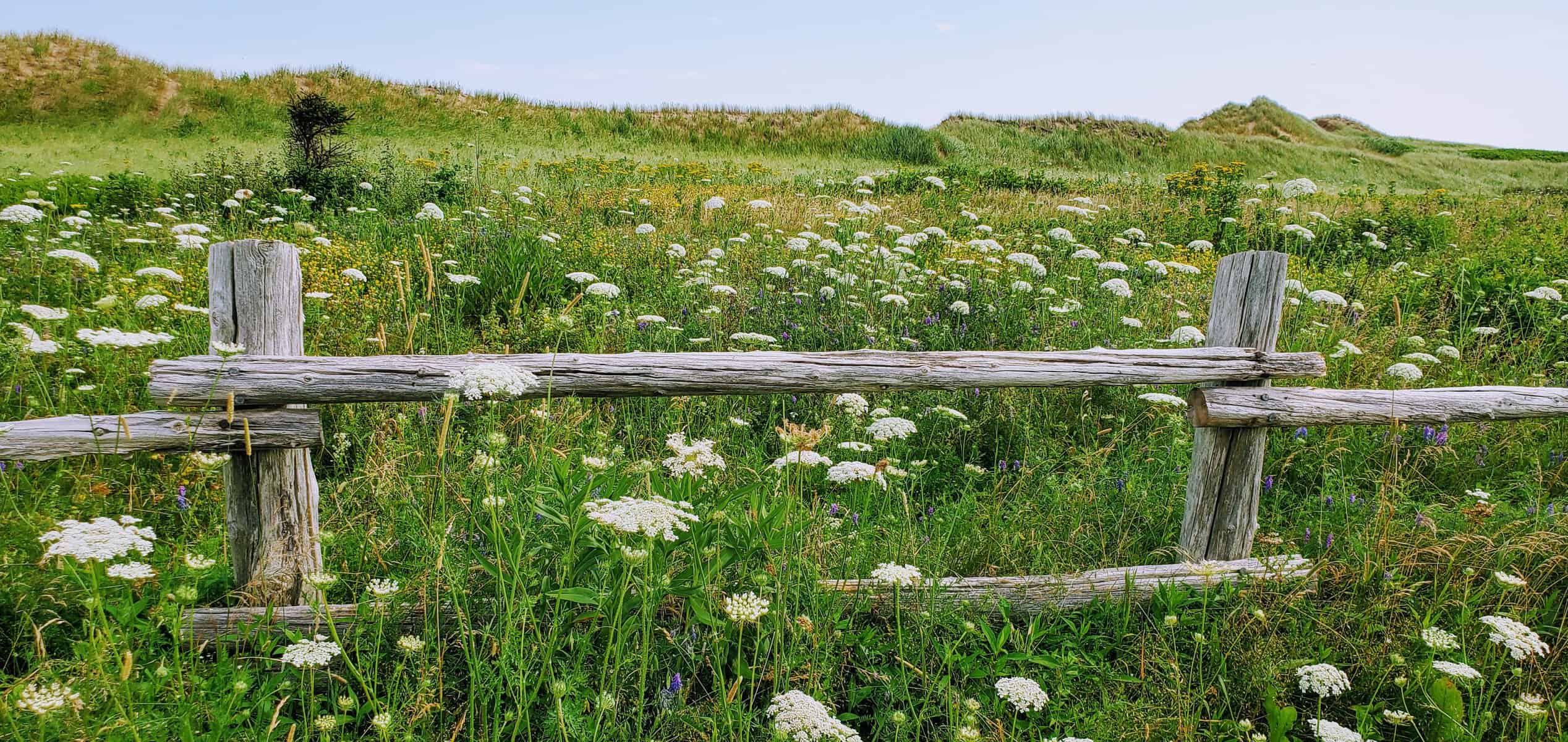 The Scenic Beauty of Prince Edward Island, Canada