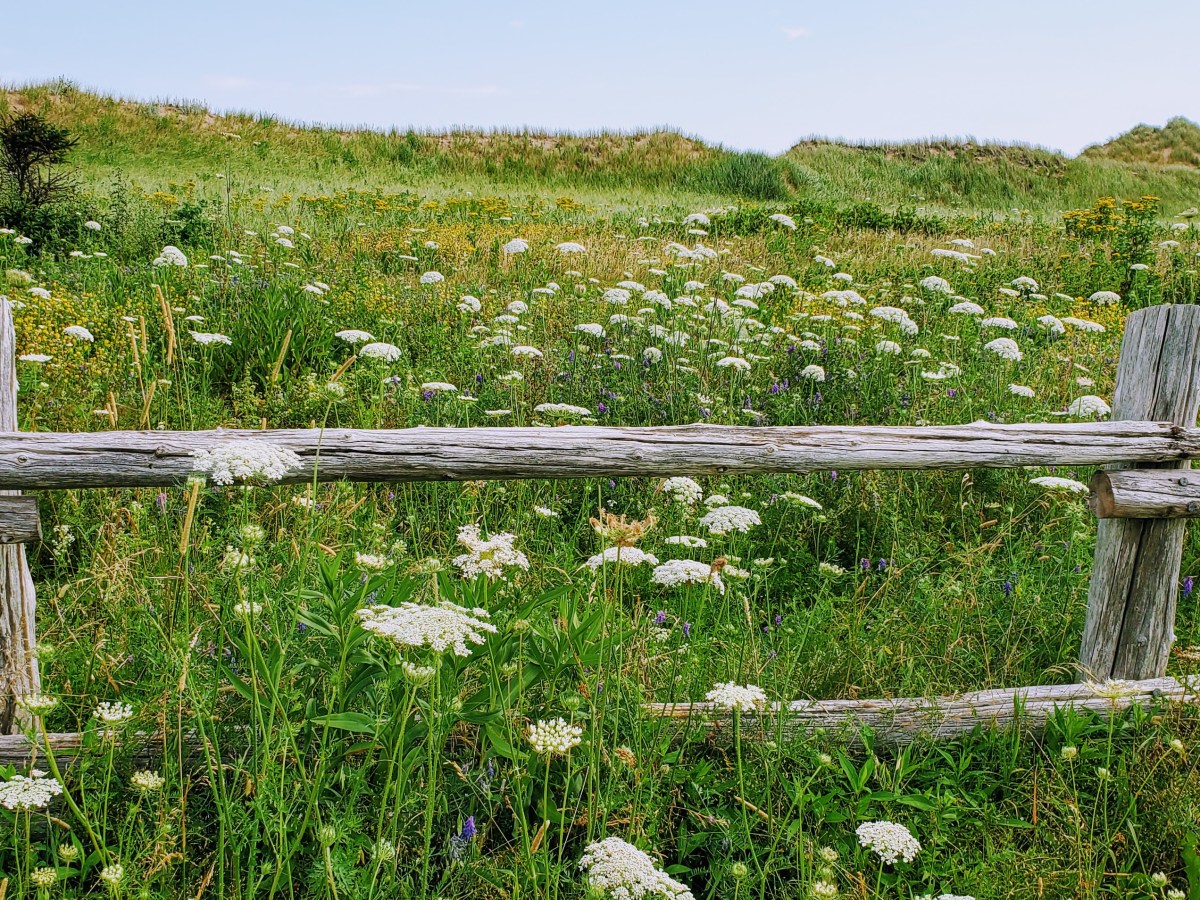 The Scenic Beauty of Prince Edward Island,&nbsp;Canada