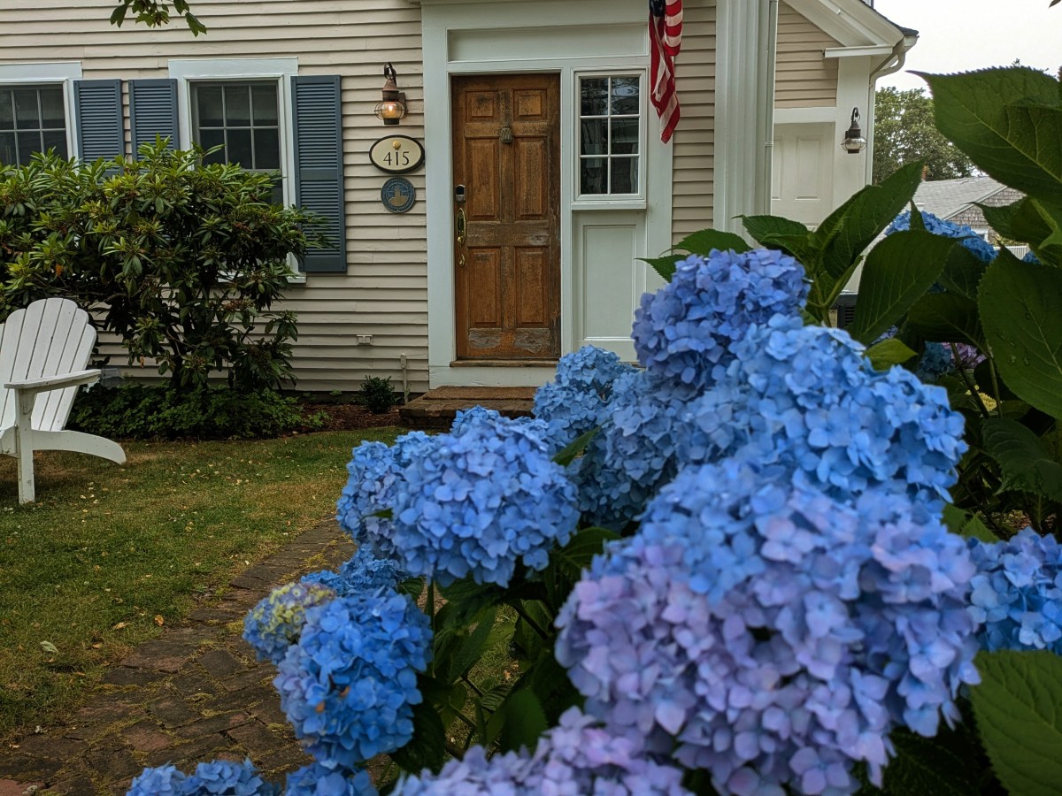 The Center of the Cape: Chatham,&nbsp;MA