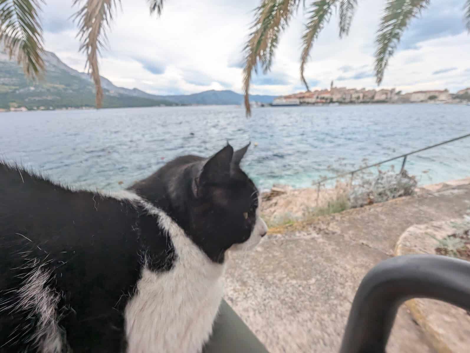 A Perfect Cool Day on Korčula Island, Croatia