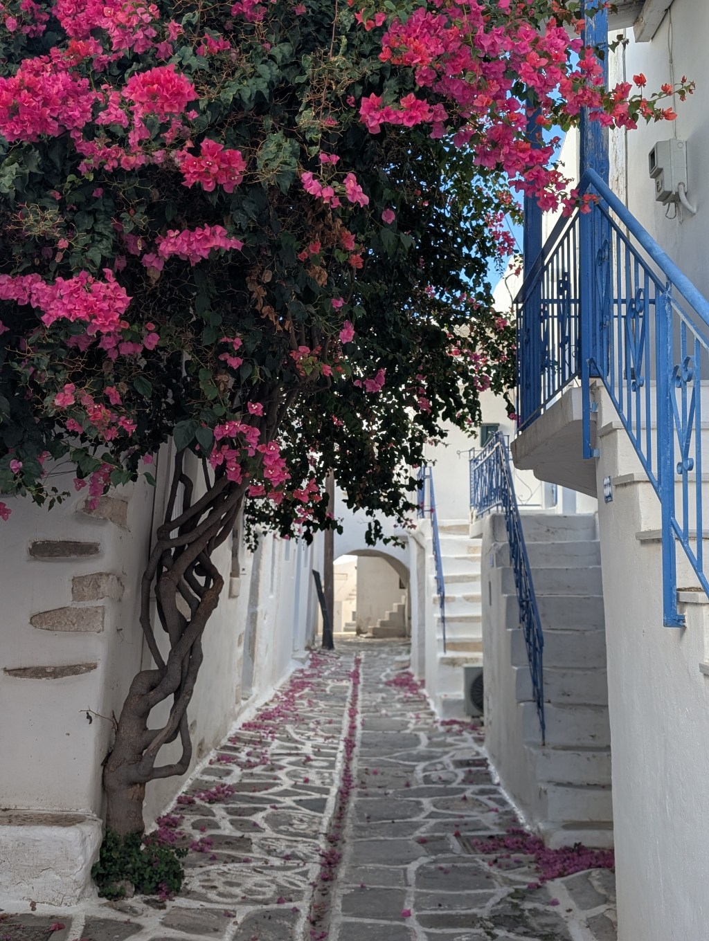 A Greek Dream Realized: Paros,&nbsp;Greece