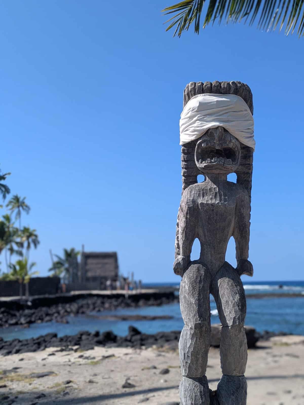 Diving into the South Kona’s  Colorful World, Hawai’i