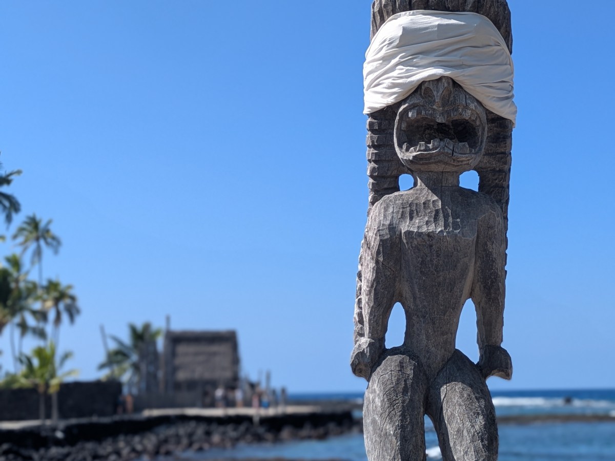 Diving into the South Kona’s  Colorful World,&nbsp;Hawai’i