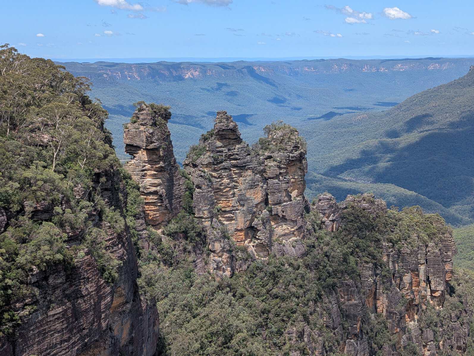 Tangled Up in the Blue Mountains, NSW Australia