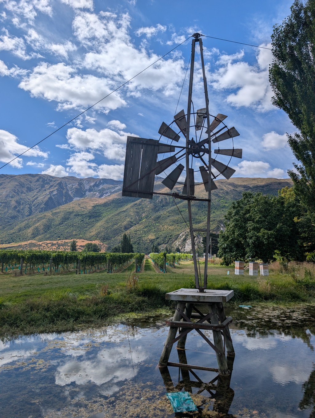 A Relaxing Saturday Outside of Queenstown, New&nbsp;Zealand