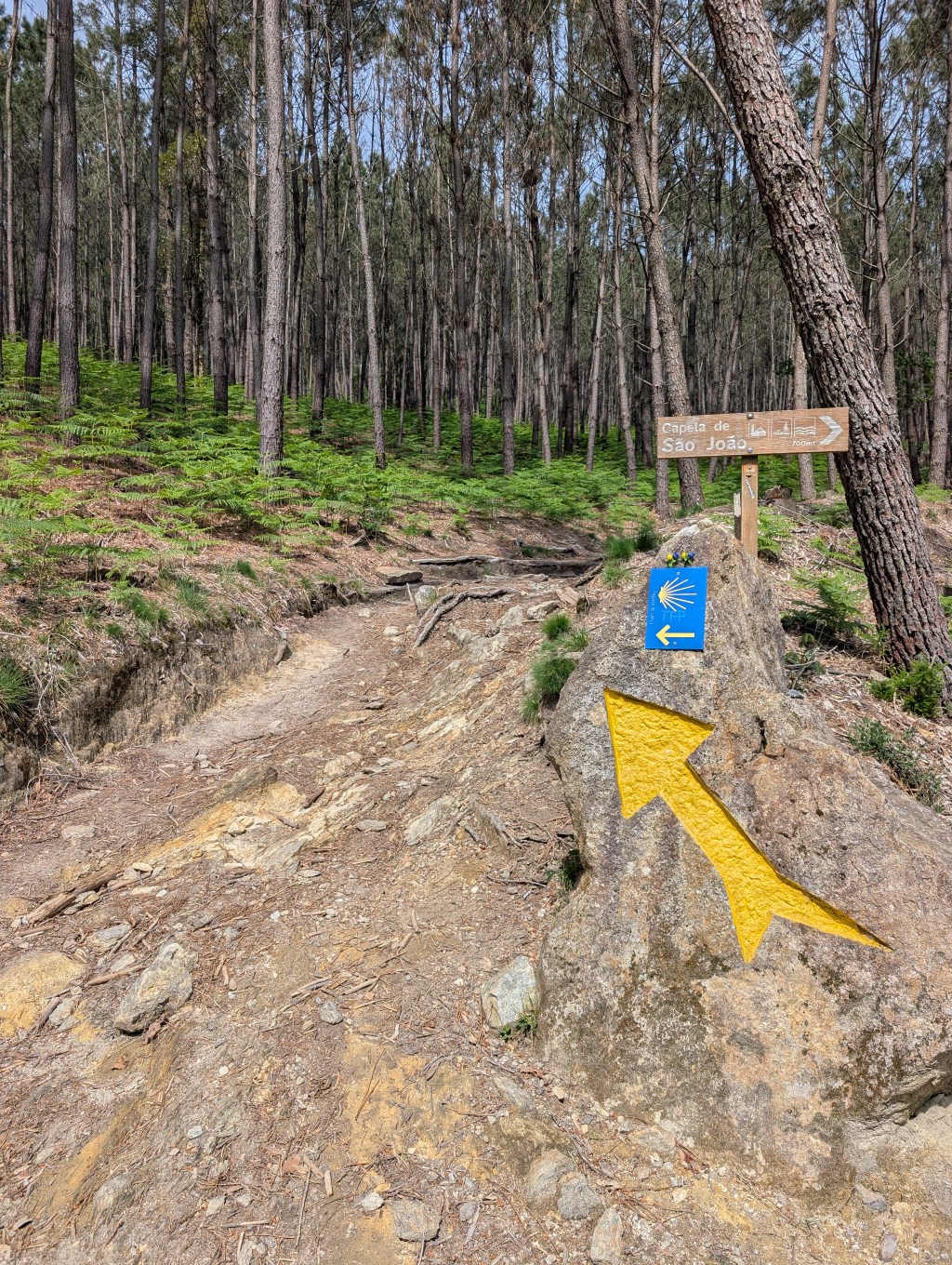 Enjoying the last moments of Portugal – Camino Portguese Ponte de Lima to Valença: Days 7 &&nbsp;8