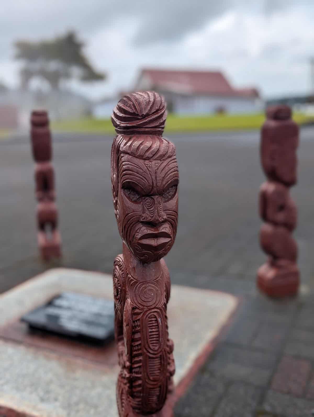 Steaming Up in Rotorua, New Zealand
